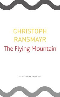 bokomslag The Flying Mountain