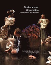 bokomslag Stories under Occupation