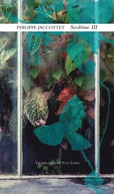Seedtime III