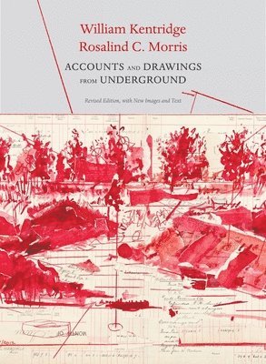 William Kentridge, Rosalind C Morris - Accounts and Drawings from Underground, Inbunden