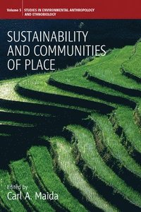 bokomslag Sustainability and Communities of Place
