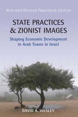 bokomslag State Practices and Zionist Images