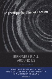 bokomslag Irish/ness Is All Around Us