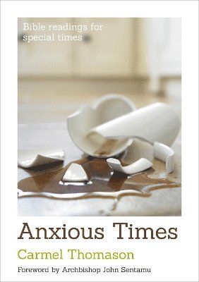 bokomslag Anxious Times
