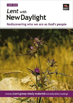 Lent with New Daylight 1