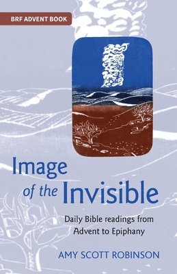 bokomslag Image of the Invisible