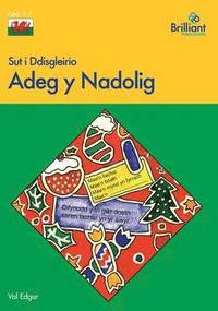bokomslag Sut i Ddisgleirio Adeg y Nadolig
