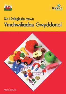 bokomslag Sut i Ddisgleirio mewn Ymchwiliadau Gwyddonol