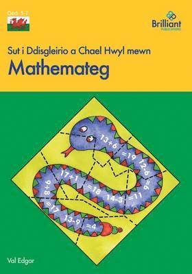 bokomslag Sut i Ddisgleirio a Chael Hwyl mewn Mathemateg