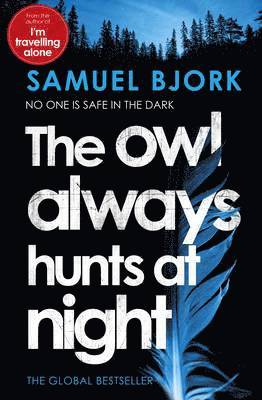 The Owl Always Hunts at Night