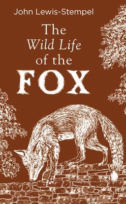 John Lewis-Stempel - Wild Life of the Fox, Inbunden