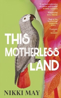 This Motherless Land 1