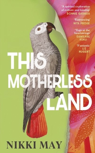 This Motherless Land 1