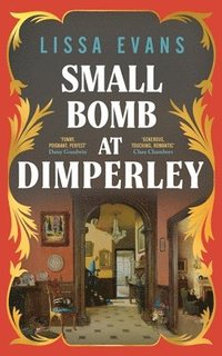 bokomslag Small Bomb At Dimperley
