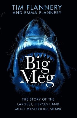 bokomslag Big Meg