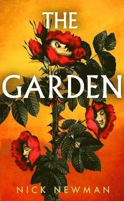Nick Newman - Garden, Inbunden
