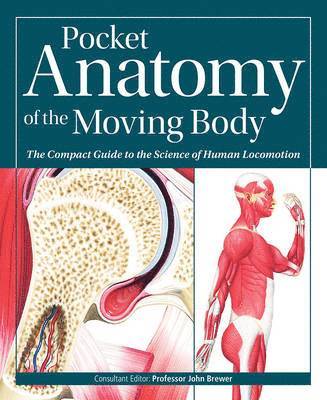 John Brewer - Pocket Anatomy of the Moving Body, Häftad