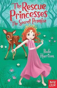 bokomslag The Rescue Princesses: The Secret Promise