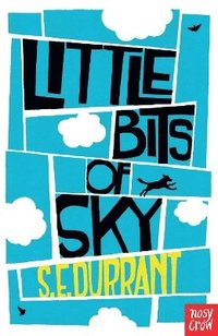 bokomslag Little Bits of Sky