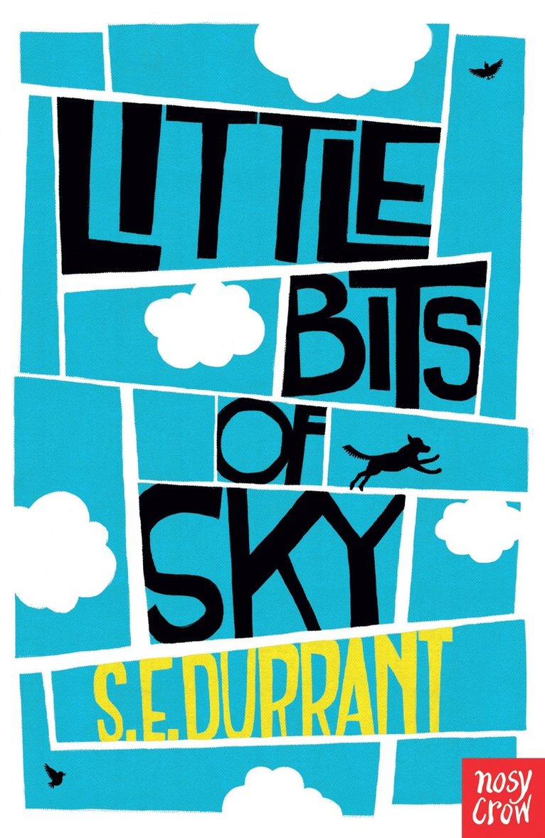 S. E. Durrant - Little Bits of Sky, Häftad