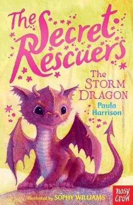 Secret Rescuers: The Storm Dragon 1