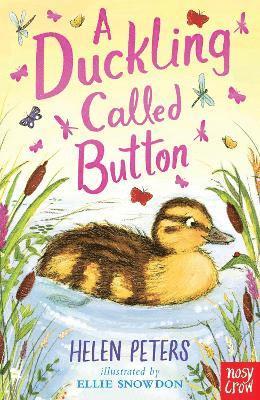 A Duckling Called Button 1