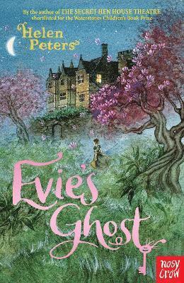 bokomslag Evie's Ghost