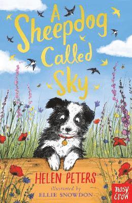 A Sheepdog Called Sky 1