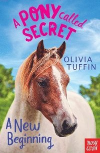 bokomslag A Pony Called Secret: A New Beginning