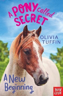 A Pony Called Secret: A New Beginning 1