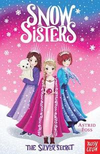 bokomslag Snow Sisters: The Silver Secret