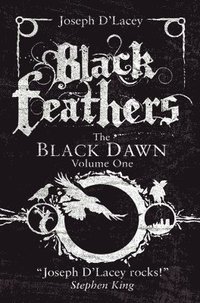 bokomslag Black Feathers