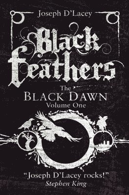 bokomslag Black Feathers