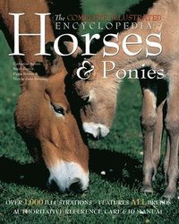 bokomslag The Complete Illustrated Encyclopedia of Horses & Ponies