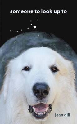 Someone to Look Up to
