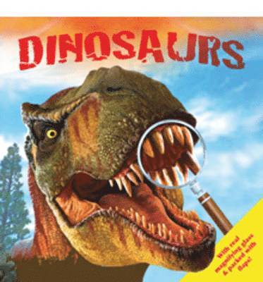 Hinkler Pty Ltd - Dinosaurs, Kartonnage