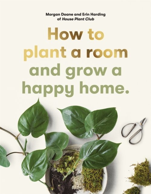 Erin Harding, Morgan Doane - How to plant a room, Häftad