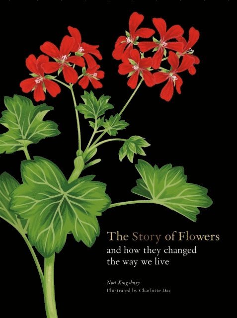 The Story of Flowers 1