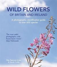 bokomslag Wild Flowers of Britain and Ireland