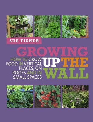 Sue Fisher - Growing Up the Wall, Häftad