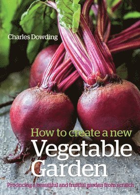 How to Create a New Vegetable Garden 1