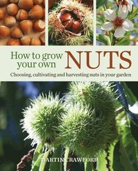 bokomslag How to Grow Your Own Nuts
