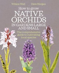 bokomslag How to Grow Native Orchids in Gardens Large and Small