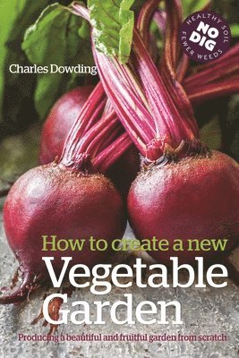 How to Create a New Vegetable Garden 1