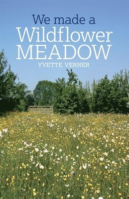 We Made a Wildflower Meadow 1