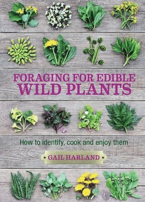bokomslag Foraging for Edible Wild Plants