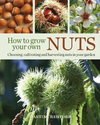 Martin Crawford - How to Grow Your Own Nuts, Häftad