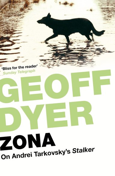 Geoff Dyer - Zona, Häftad