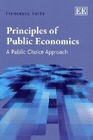bokomslag Principles of Public Economics