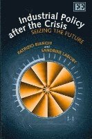 Industrial Policy after the Crisis 1